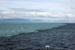 ¿En dónde se juntan las aguas del Pacífico y el Atlantico?