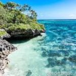Explorando Tonga: Un Mapa de Aventura