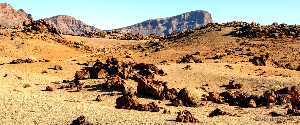 ¿Qué caracteriza al desierto de Gobi?