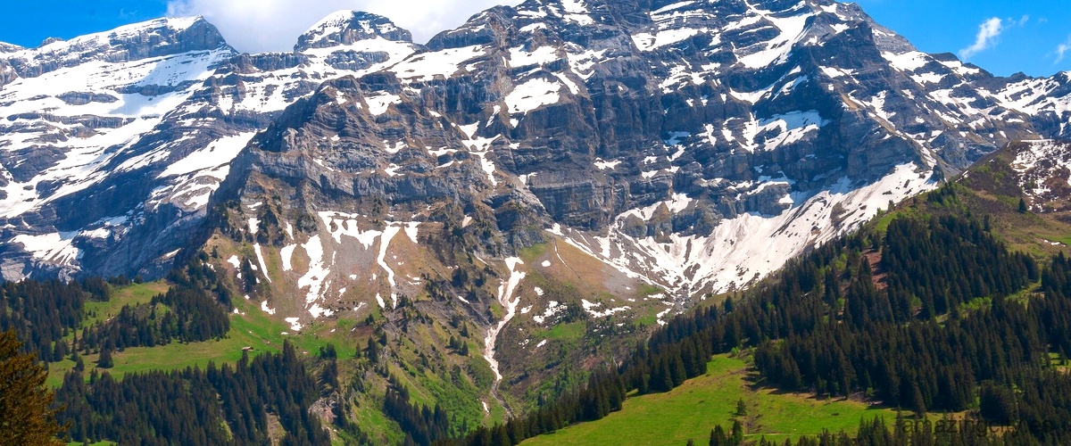 ¿Qué ciudades están cerca de los Alpes suizos?